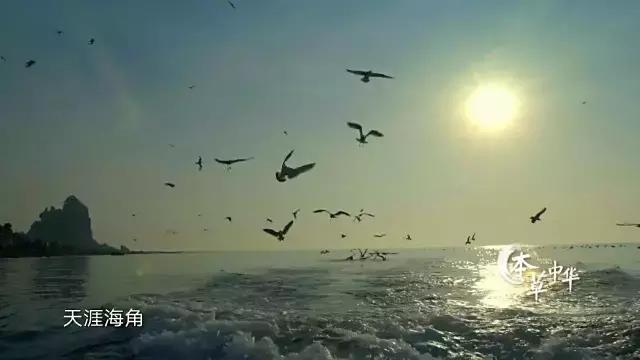 8.9，我们的片终于抢在韩国人前面