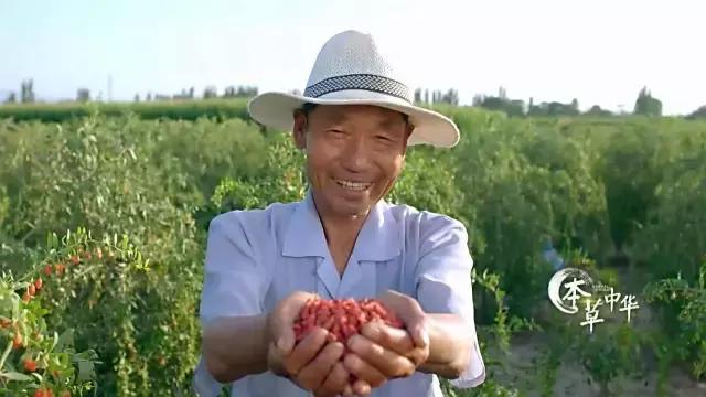 8.9，我们的片终于抢在韩国人前面