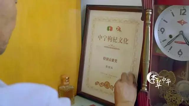 8.9，我们的片终于抢在韩国人前面