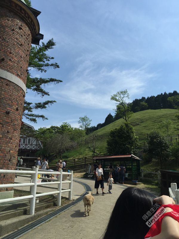 日本小众深度游玩攻略,日本关西打卡攻略