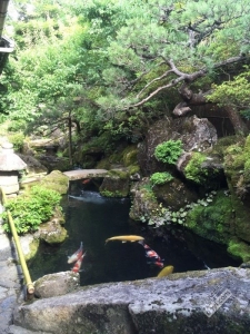 日本小众深度游玩攻略,日本关西打卡攻略