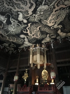 日本小众深度游玩攻略,日本关西打卡攻略