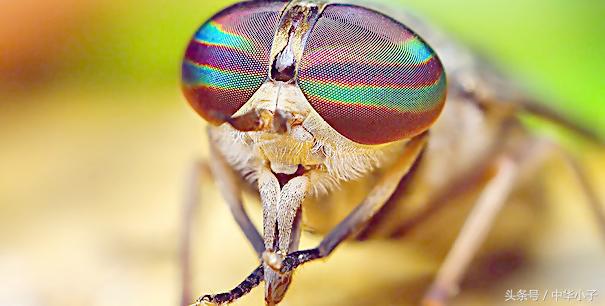 这7个生活中的冷门知识，真是有趣又有用