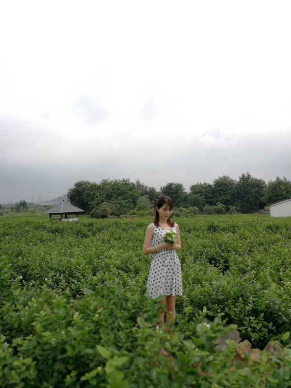 横县茉莉花之乡中华茉莉园,欢迎来到广西横县茉莉花之乡