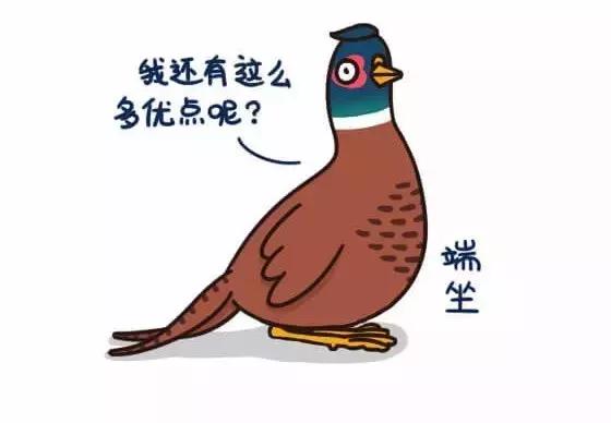 如何避免掉入“野鸡”平台的陷阱|念钱安小课堂