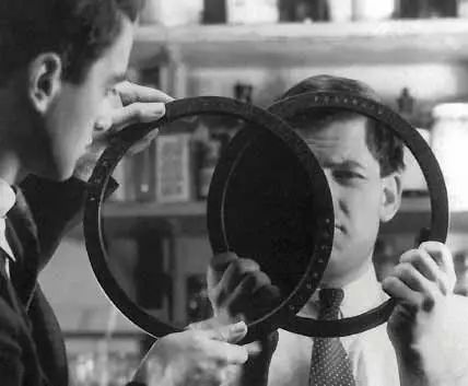 改写历史翻译,polaroid的中文翻译