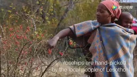 澳洲十大有机护肤品,澳洲有机认证护肤品牌