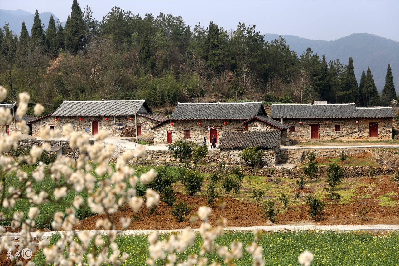 女人怀孕生气肚子会疼吗,女人怀孕期间生气了会怎样