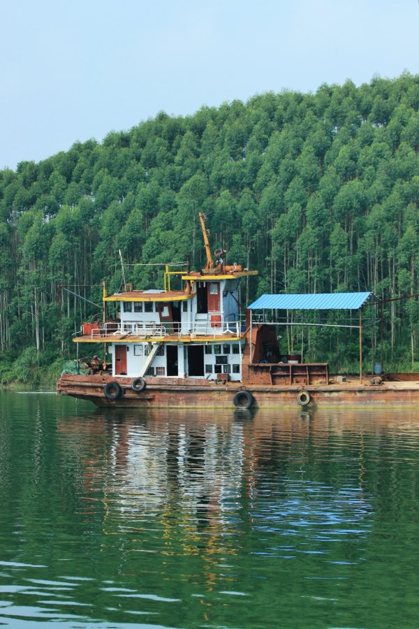 横县茉莉花之乡中华茉莉园,欢迎来到广西横县茉莉花之乡