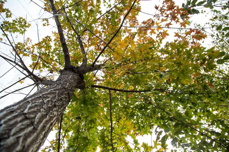 共赏美景愉悦心情,共赏大自然美景