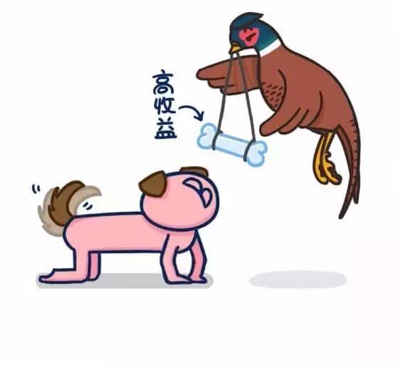 如何避免掉入“野鸡”平台的陷阱|念钱安小课堂