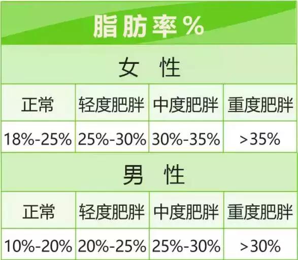 bmi究竟是什么,一文彻底搞懂什么是opc