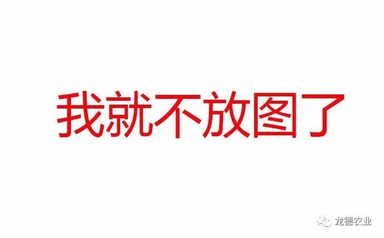 龙鱼吃的鱼叫什么,龙鱼吃个头差不多的鱼