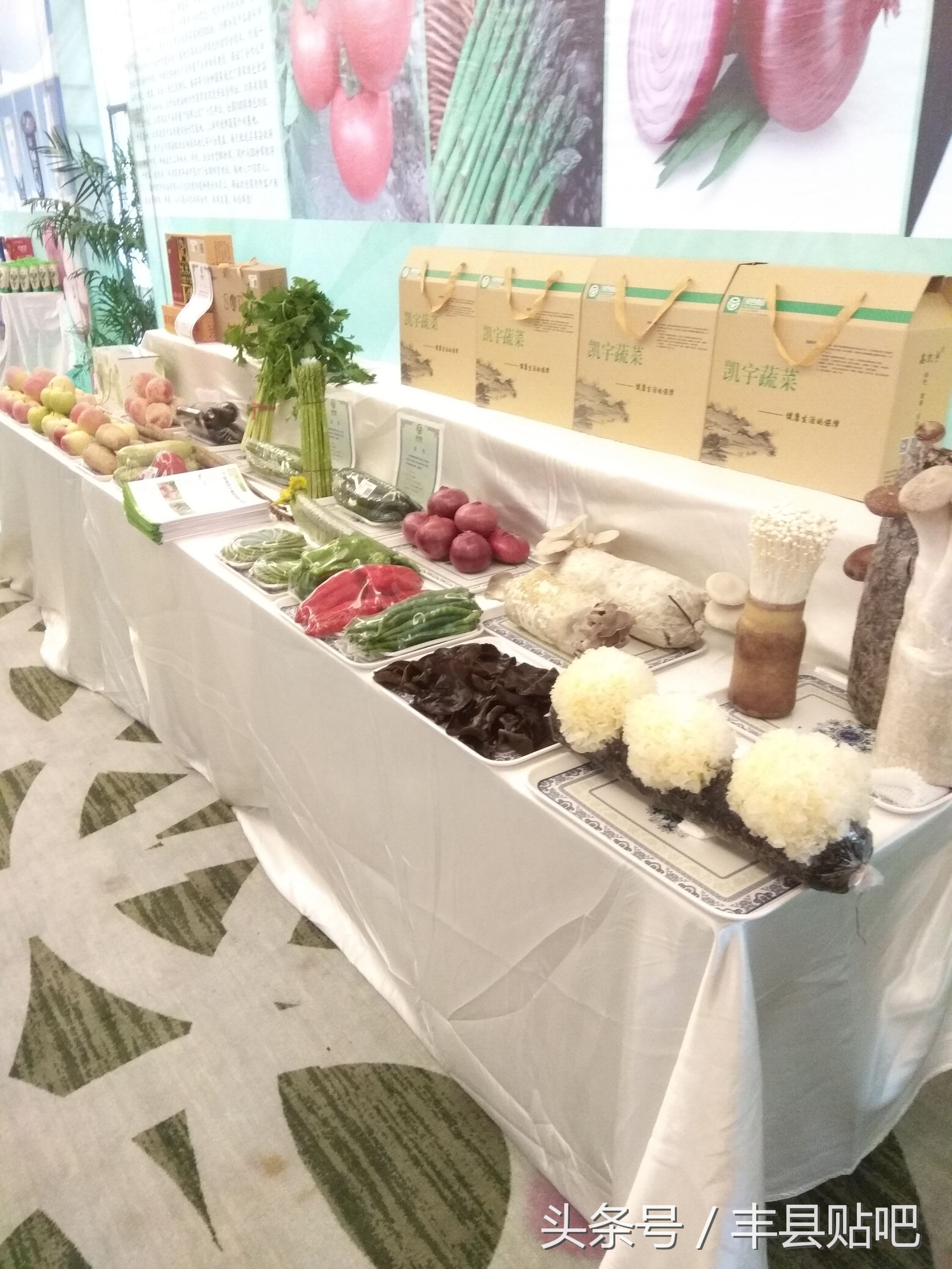 摘苹果徐州丰县,丰县哪个地方能摘苹果