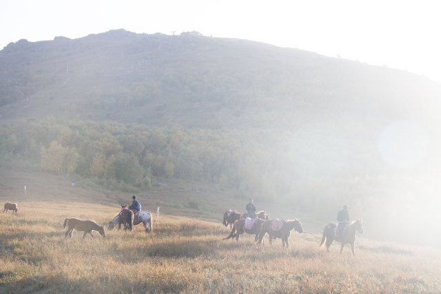 希望以后有时间可以一起去露营,我们还有机会一起去爬山吗