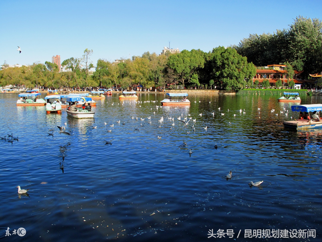 昆明主城二环内城市修补性规划研究啥？6大成果指导城市修补！