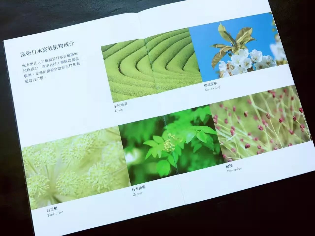 女人要对自己好一点好好护肤,女人就要好好保养