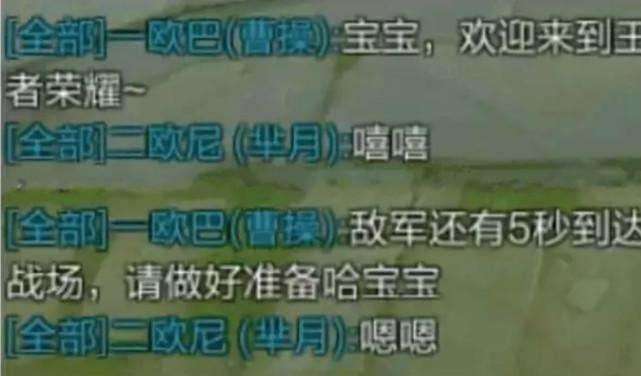 王者荣耀女大学生最喜欢用的英雄,王者荣耀女萌新选什么英雄