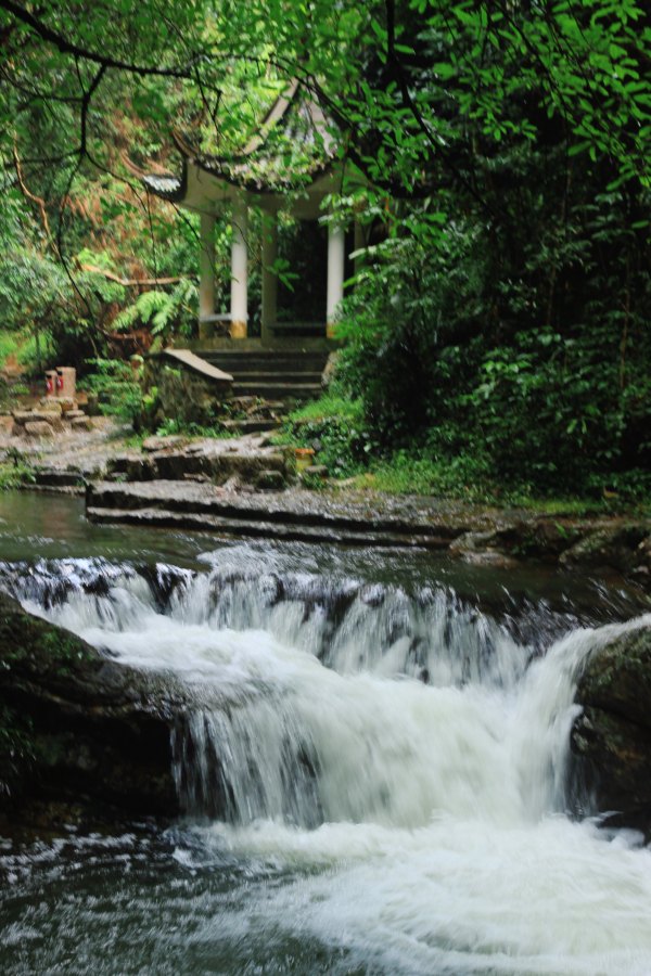 横县茉莉花之乡中华茉莉园,欢迎来到广西横县茉莉花之乡