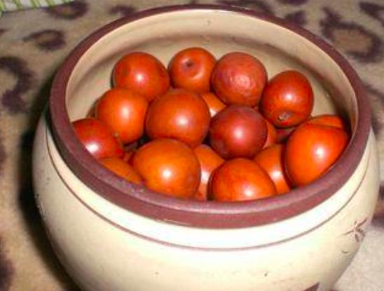 农村的大枣都熟了,一竹竿子打下来无数美味