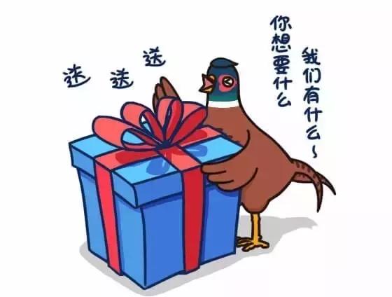 如何避免掉入“野鸡”平台的陷阱|念钱安小课堂