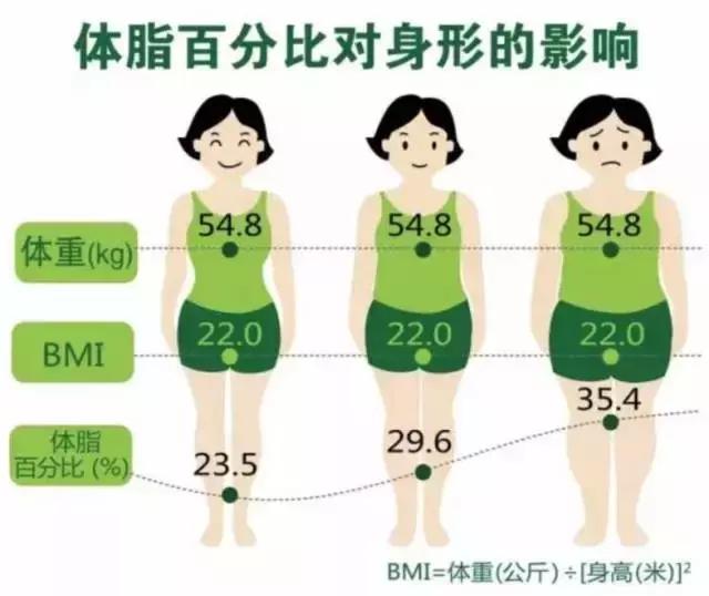 bmi究竟是什么,一文彻底搞懂什么是opc