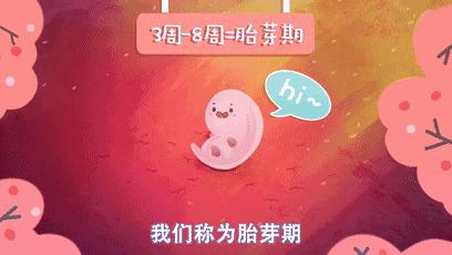 宝宝的胎芽长得很快吗,宝宝的胎心是一周比一周慢吗