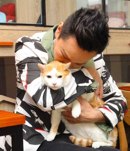 张信哲40载救援流浪猫,张信哲慈善捐款