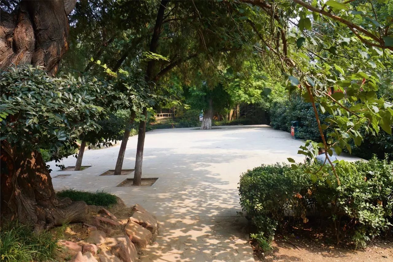 尬舞的潮人,郑州尬舞江湖