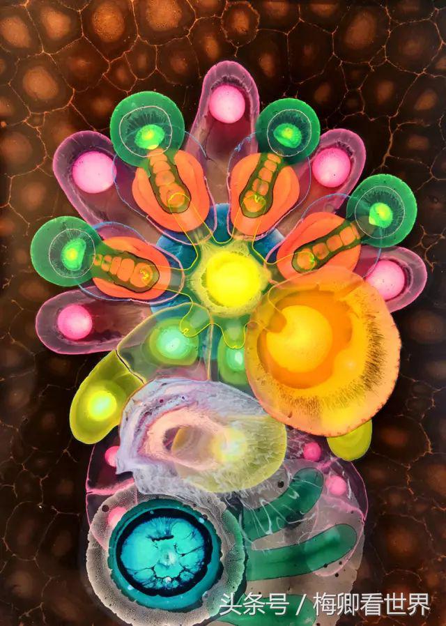 点滴艺术画,神奇的雨滴绘画