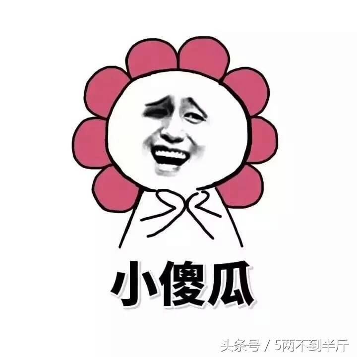 怎么使衣服不沾狗毛,穿什么衣服不沾狗毛