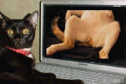 小黄片看多了会不举吗？原来外国也有戒色吧