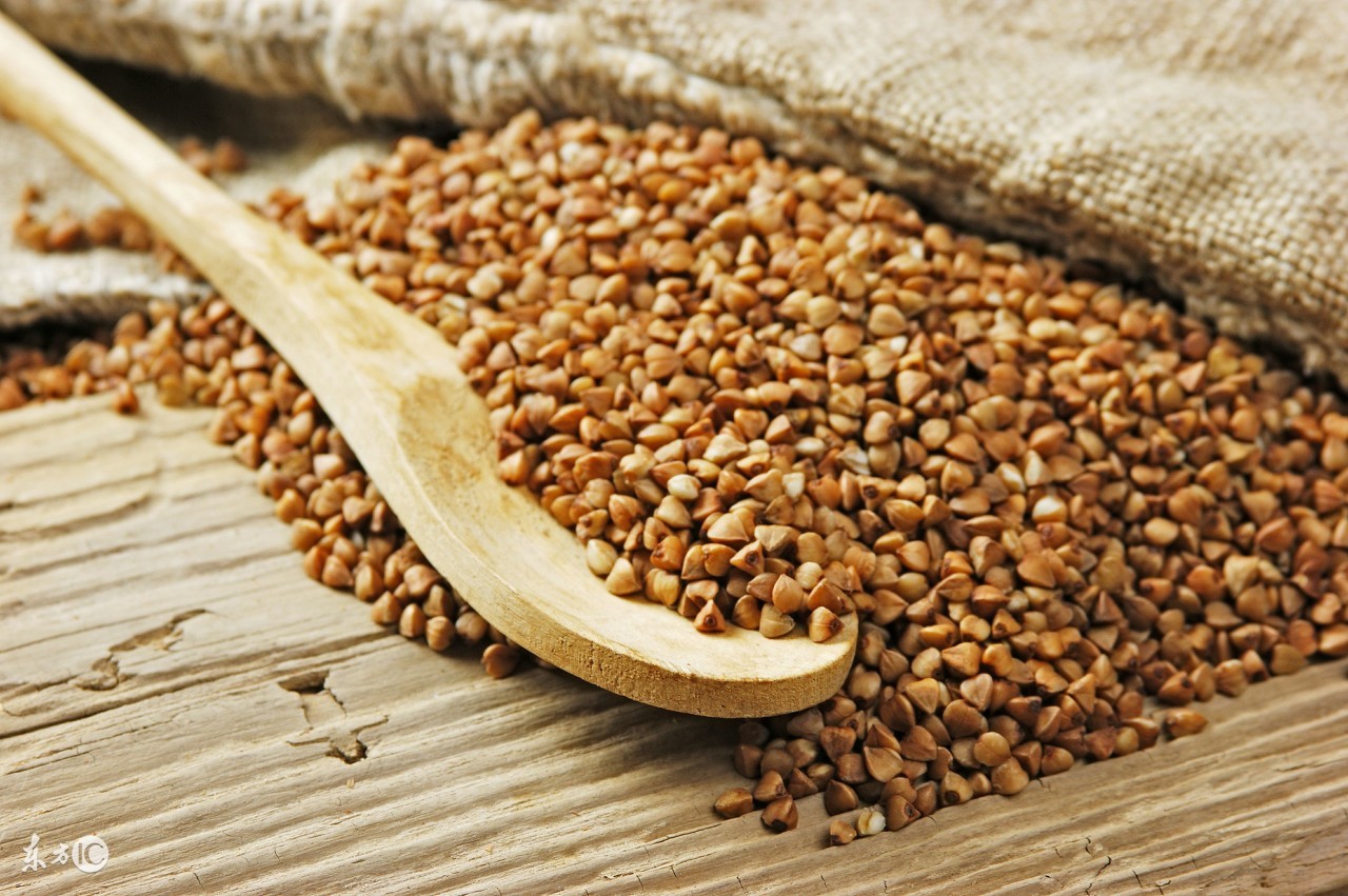 荞麦泡茶有哪些好处,荞麦茶的好处和坏处