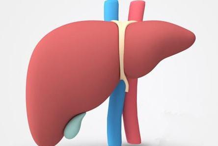 肝脏有问题的5个症状表现,肝脏出现问题要小心这些症状