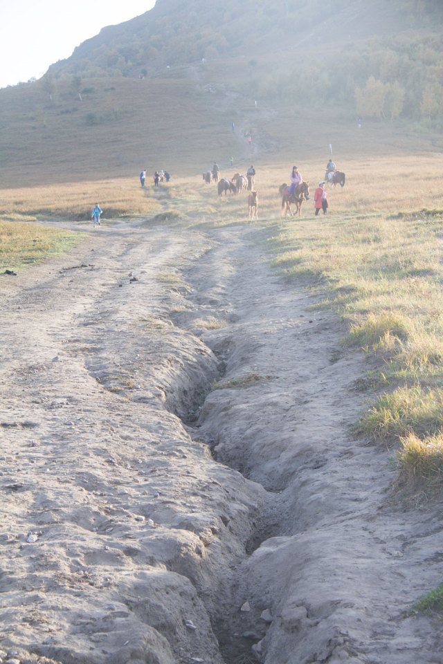 希望以后有时间可以一起去露营,我们还有机会一起去爬山吗