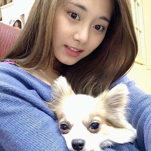 guccichaneldior比较,dior和gucci哪个牌子好