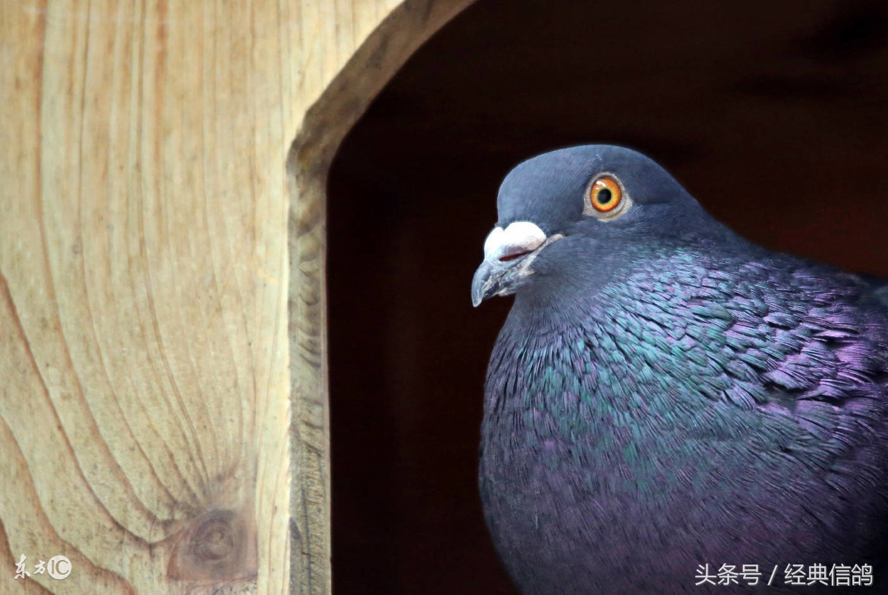 呼吸道对比赛的影响,高手们都是怎么做呼吸道的?