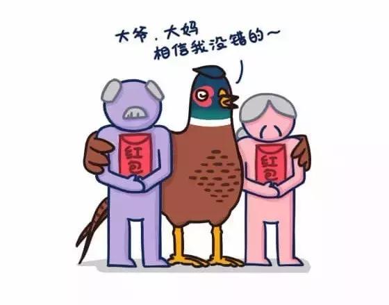 如何避免掉入“野鸡”平台的陷阱|念钱安小课堂