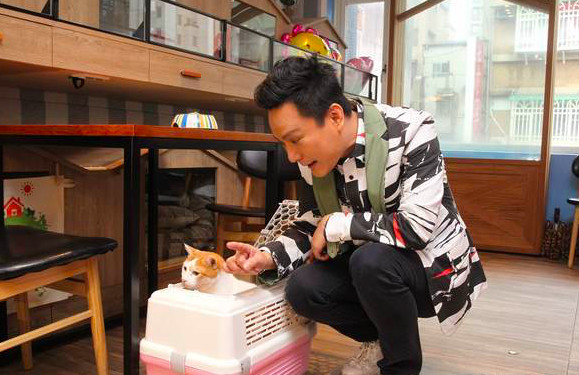 张信哲40载救援流浪猫,张信哲慈善捐款