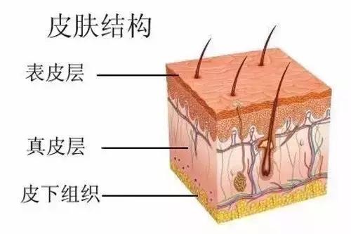 澳洲十大有机护肤品,澳洲有机认证护肤品牌