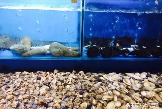 郑州冬天砂锅,郑州超好吃的9家砂锅店