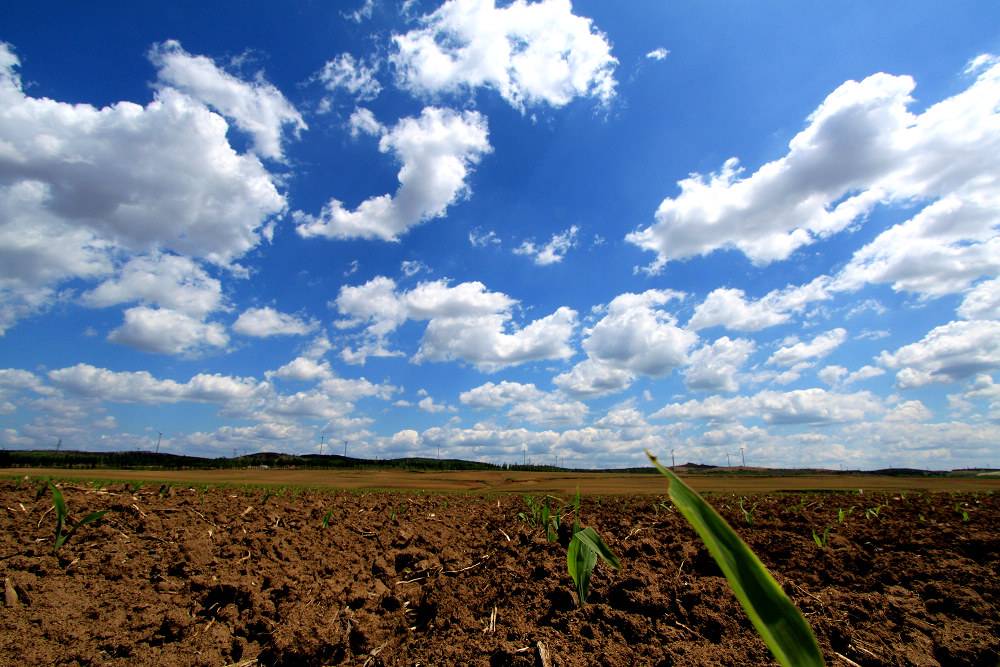 农村女儿出嫁了土地应该怎么办,媳妇孩子在村里没地怎么办