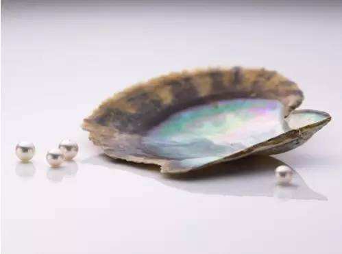 日本海水珍珠akoya是不是不耐戴,日本akoya珍珠为什么好