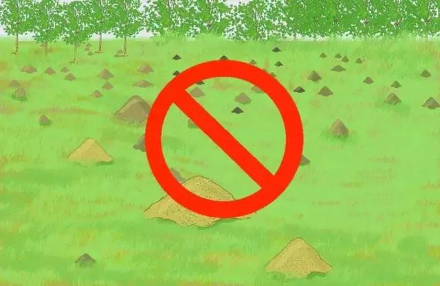 防止红火蚁咬,防范红火蚁入侵的对策建议