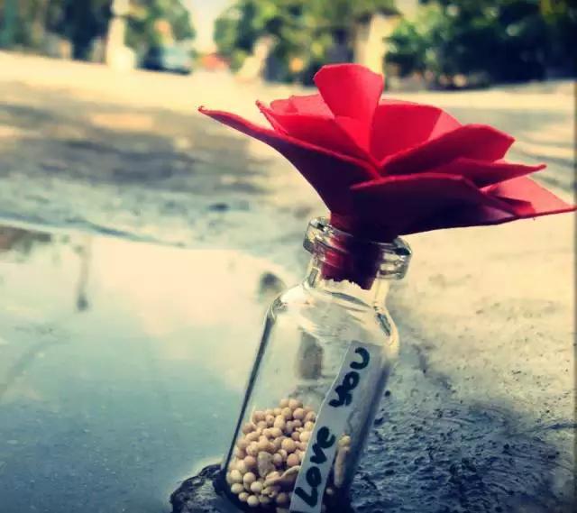 爱的最高境界是灵魂的相依为命,爱的境界相守之沫