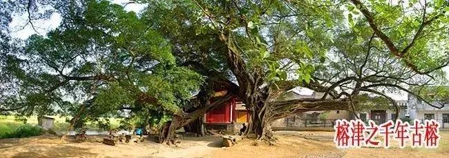 阳朔平乐,平乐是阳朔吗