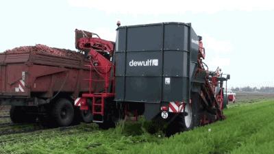 满满的一汤匙塞进口里,混合着酒香体会它们在你嘴里爆裂的感觉