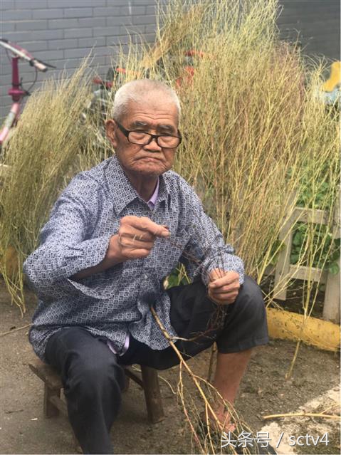 香丹清年轻的照片,四川省安岳县香丹清