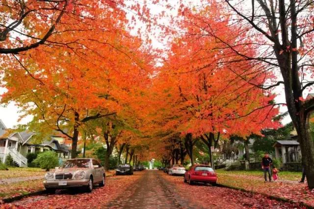 不必羡慕柏林、温哥华，仰义的未来可以是这样子！