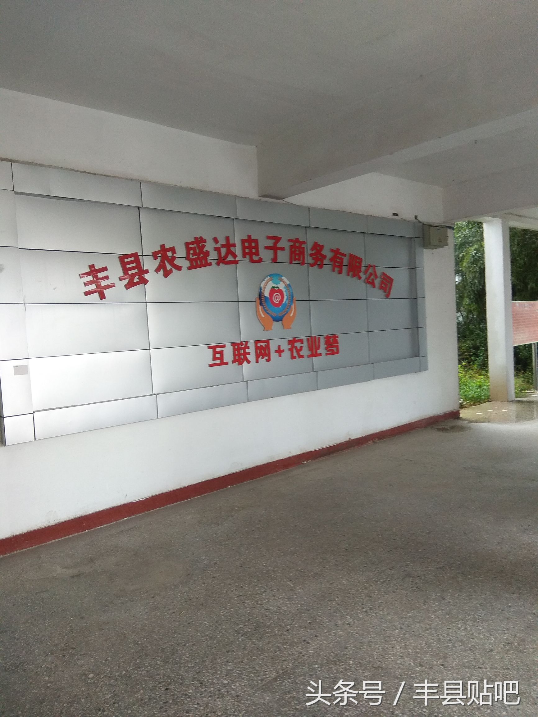 摘苹果徐州丰县,丰县哪个地方能摘苹果